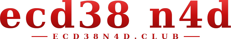 ecd38 n4d logo